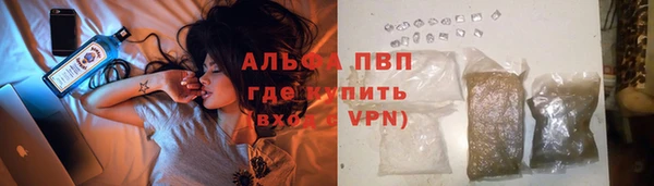гидра Корсаков