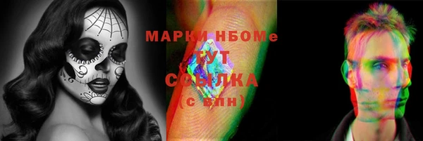 гидра Корсаков