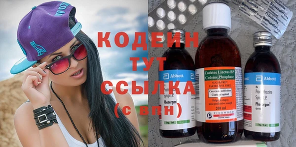 гидра Корсаков