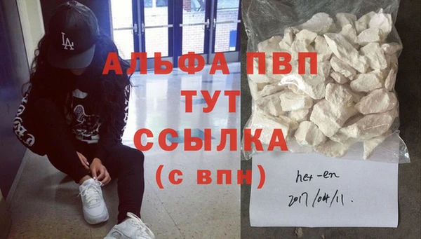 гидра Корсаков