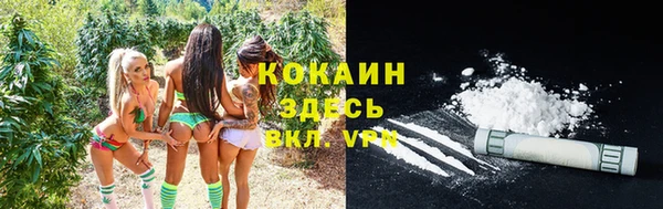 гидра Корсаков